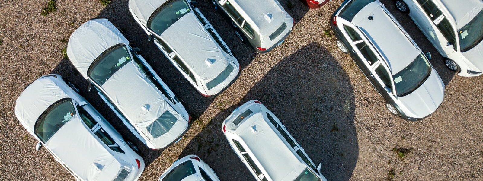 Wynajem samochodu krok po kroku – jak uniknąć ukrytych kosztów? 1 many brand new cars covered in protective foil on 2023 11 27 04 59 25 utc