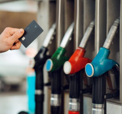 1170566922 wp68d13d3e3f2db1.80708982