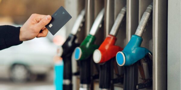 1170566922 wp68d13d3e3f2db1.80708982