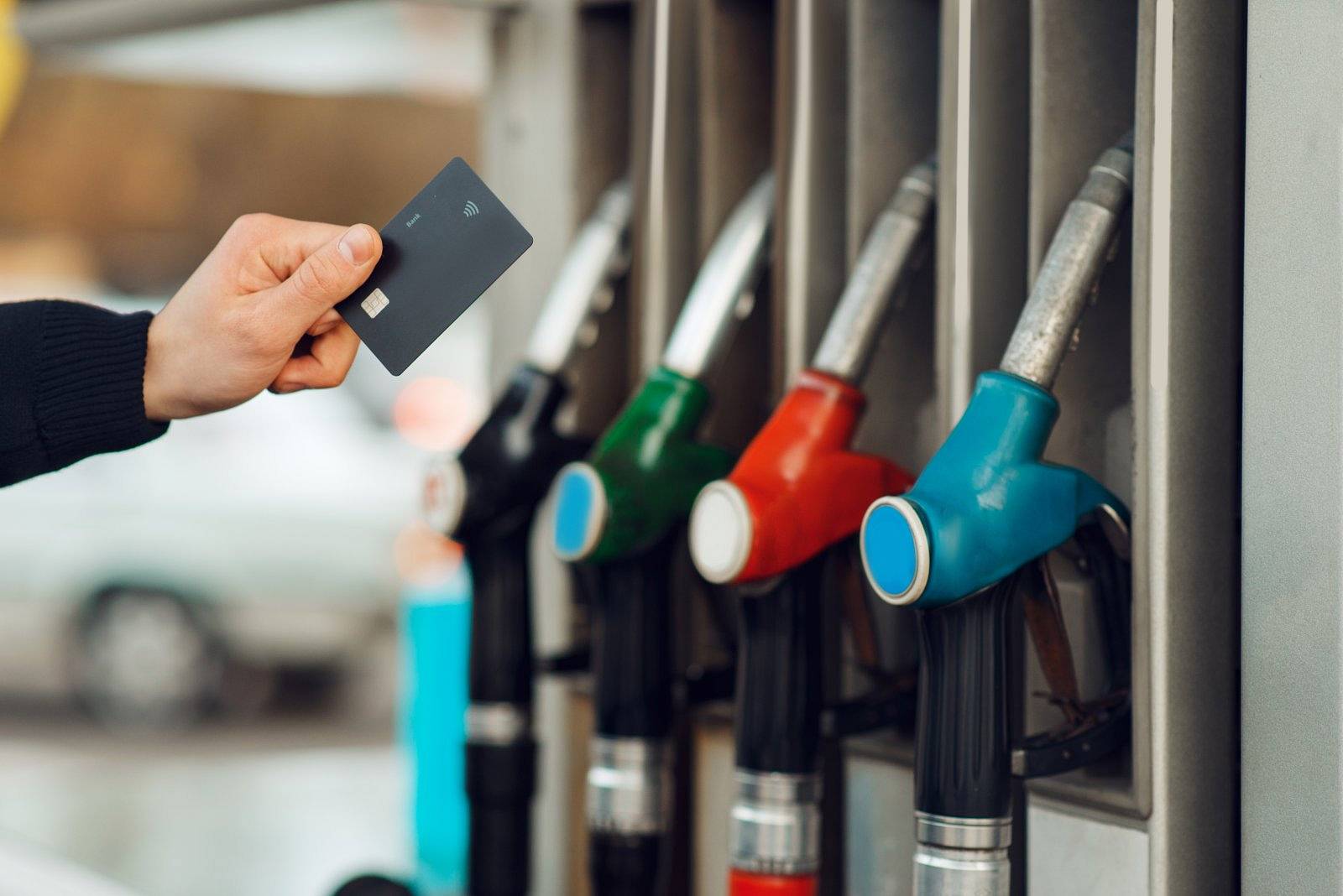 1170566922 wp68d13d3e3f2db1.80708982